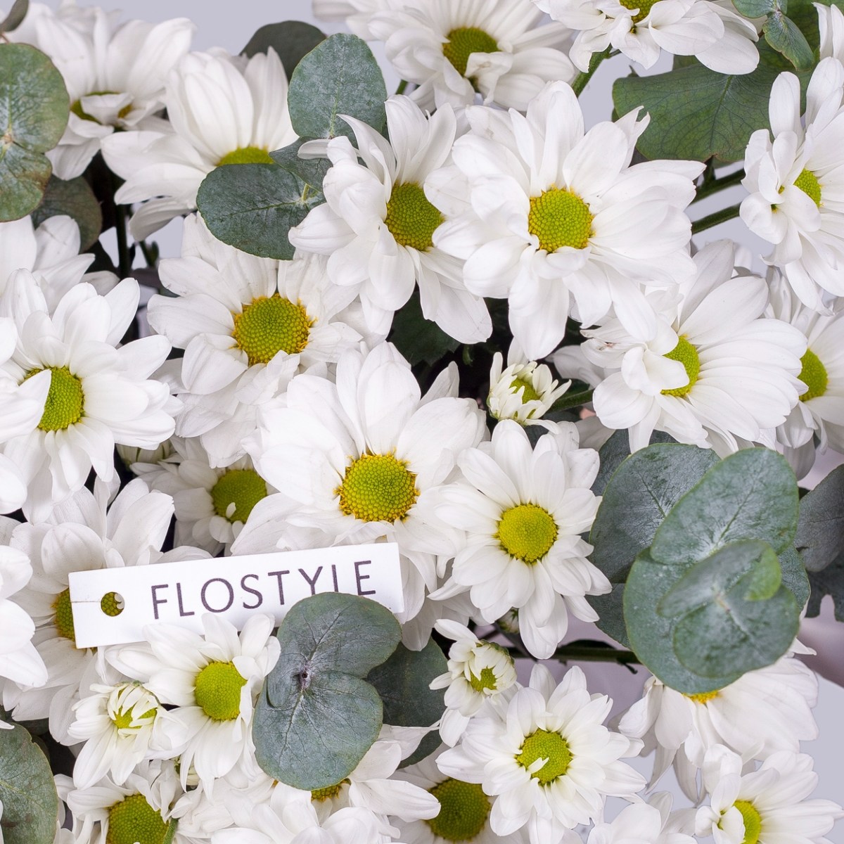 buket hrizantem v korobke 7